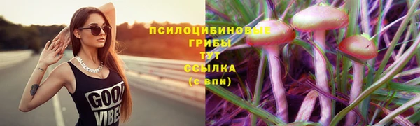 ПСИЛОЦИБИНОВЫЕ ГРИБЫ Кукмор