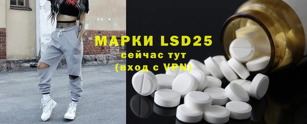 ПСИЛОЦИБИНОВЫЕ ГРИБЫ Кукмор