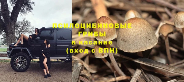 винт Кулебаки