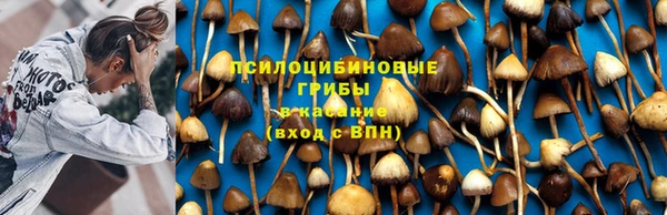 винт Кулебаки