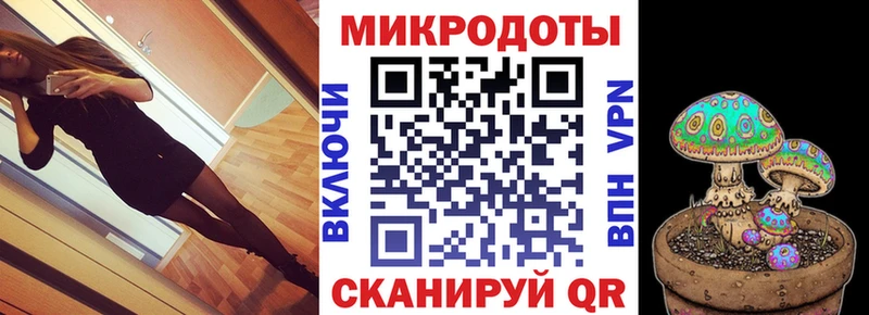 купить закладку  Ачхой-Мартан  Галлюциногенные грибы Psilocybine cubensis 